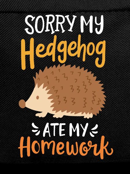 Hedgehog Pupil School