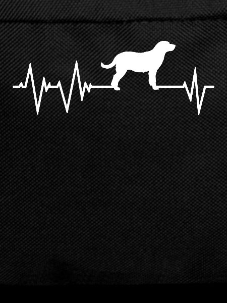 Labrador Retriever Heartbeat