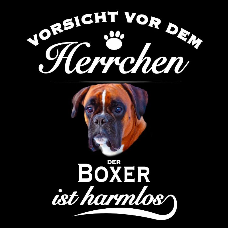 Boxer - Vorsicht vor dem Herrchen - Hund harmlos