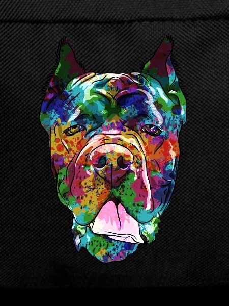 Cane Corso
