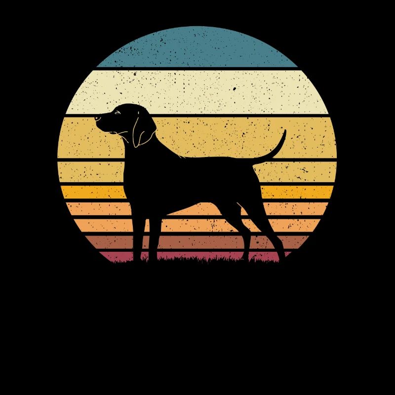 Weimaraner