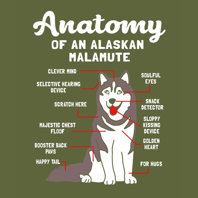 Malamute