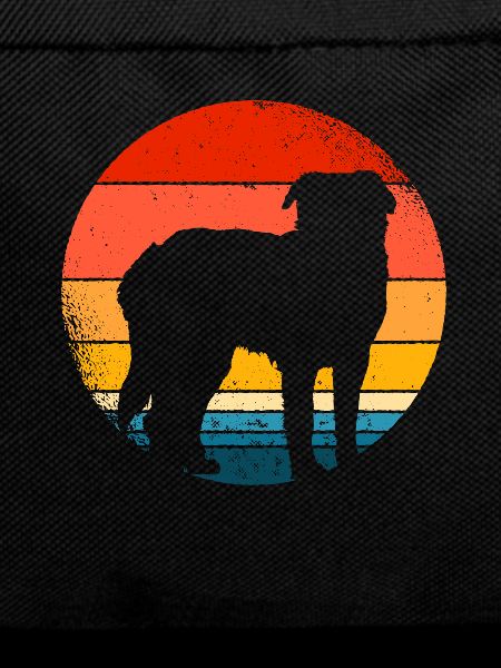 Saint Bernard