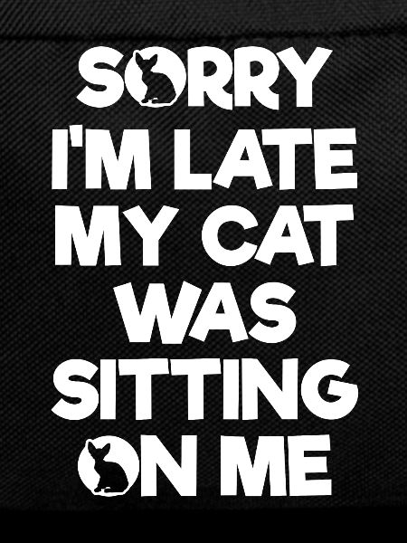 Chaton chat