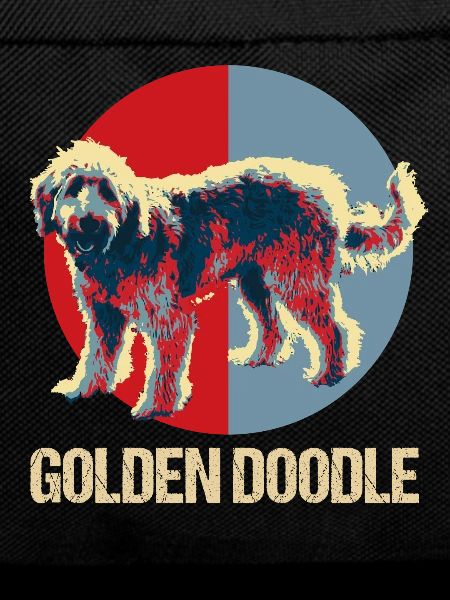 Golden Doodle