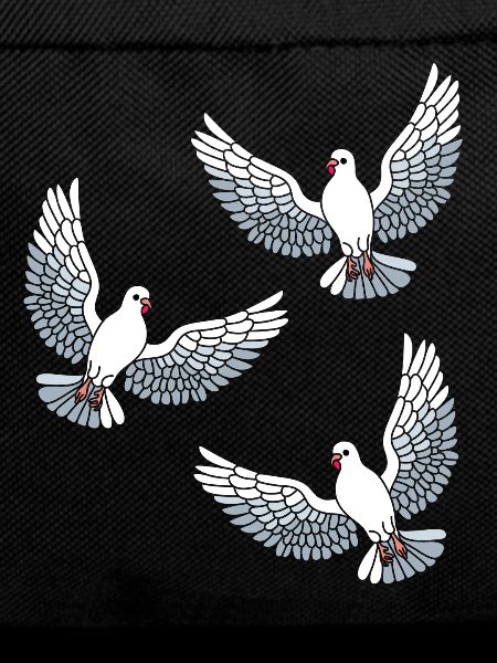 Pigeons Oiseaux