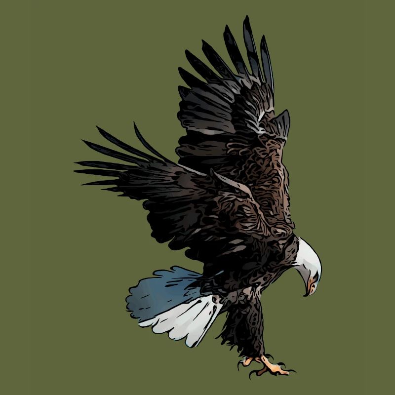 Eagle motif eagle imprint bald eagle eagle
