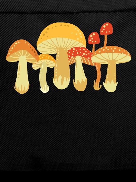 Mushroom Mushrooms Mycology