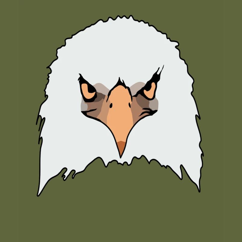 Eagle eagle motif eagle imprint bald eagle