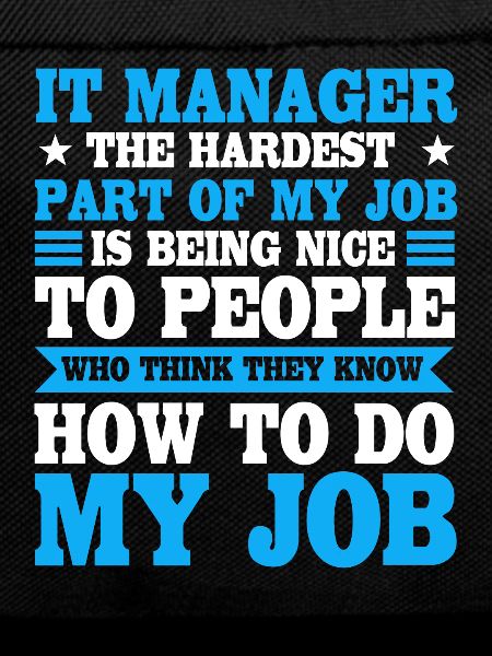IT Manager Quote