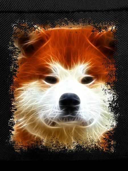 Akita