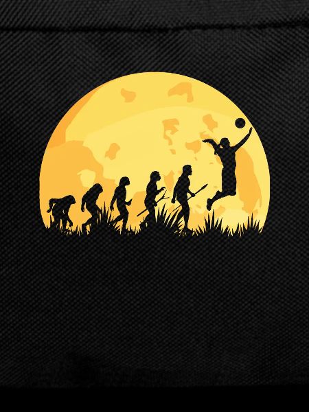 Evolution Volleyball Volleyball Player