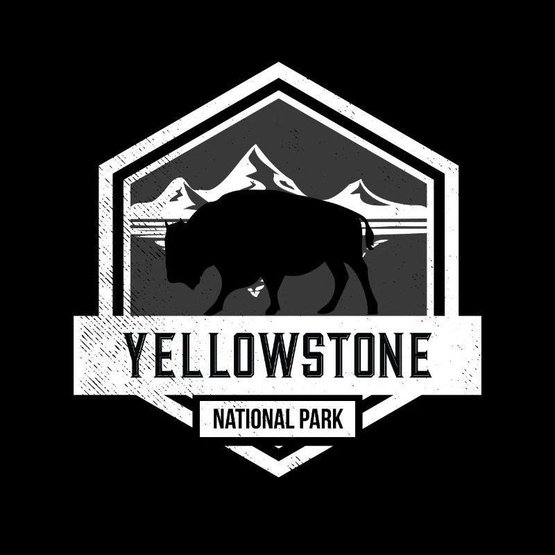 Parc national de Yellowstone Bison