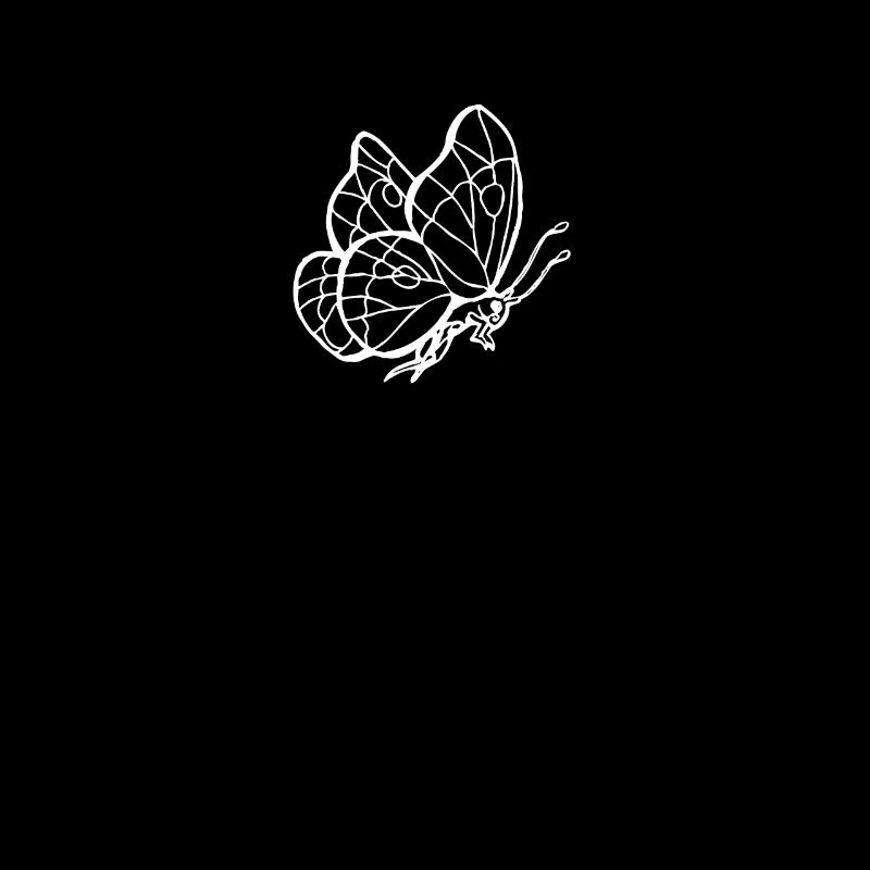 Papillon insecte papillons