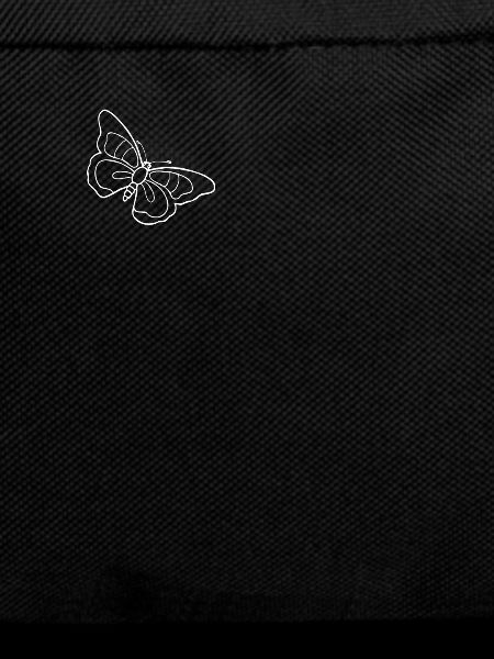 Butterfly Insect Butterflies