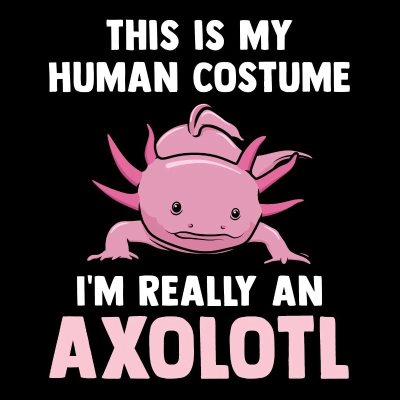 Axolotl