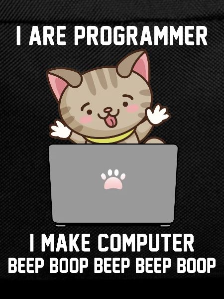 Programmer