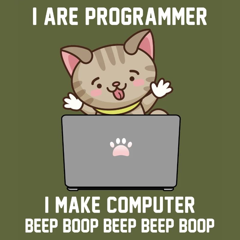Programmer