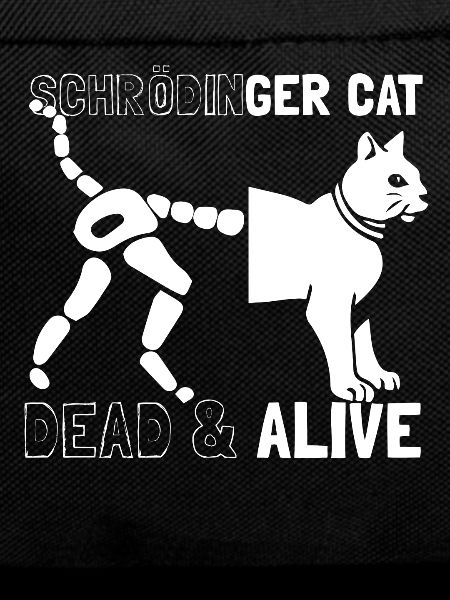 Schrödingers Katze tot oder lebendig
