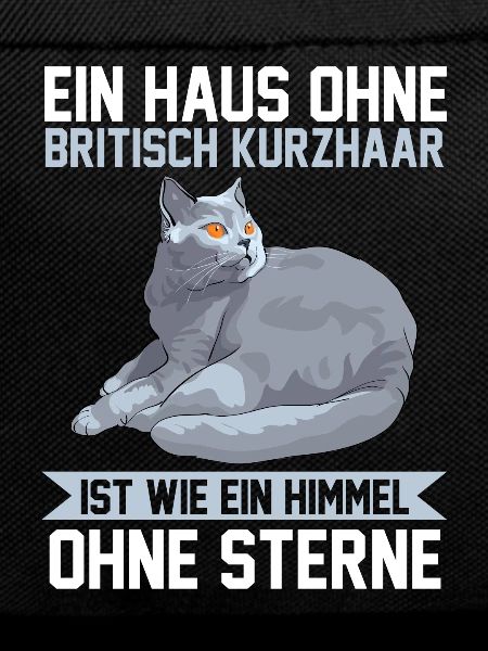 Britisch Kurzhaar Katzen