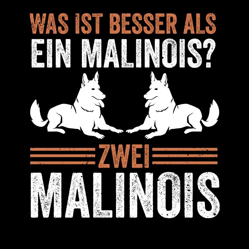 Zwei Malinois Hund Malinois Belgischer Schäferhund