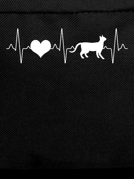 Cat Heartbeat