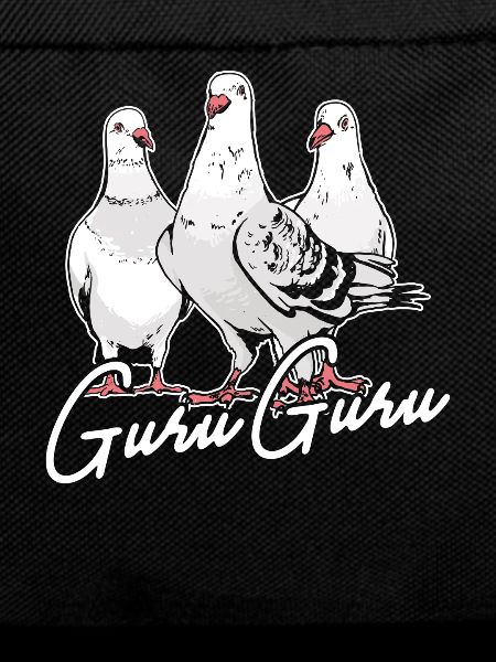 Brieftauben Guru Guru Tauben
