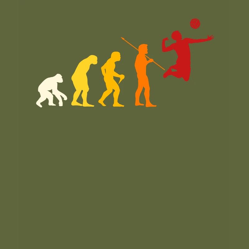 Conception de Volleyball Evolution