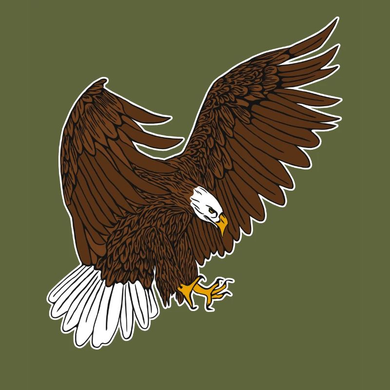 Bald Eagle