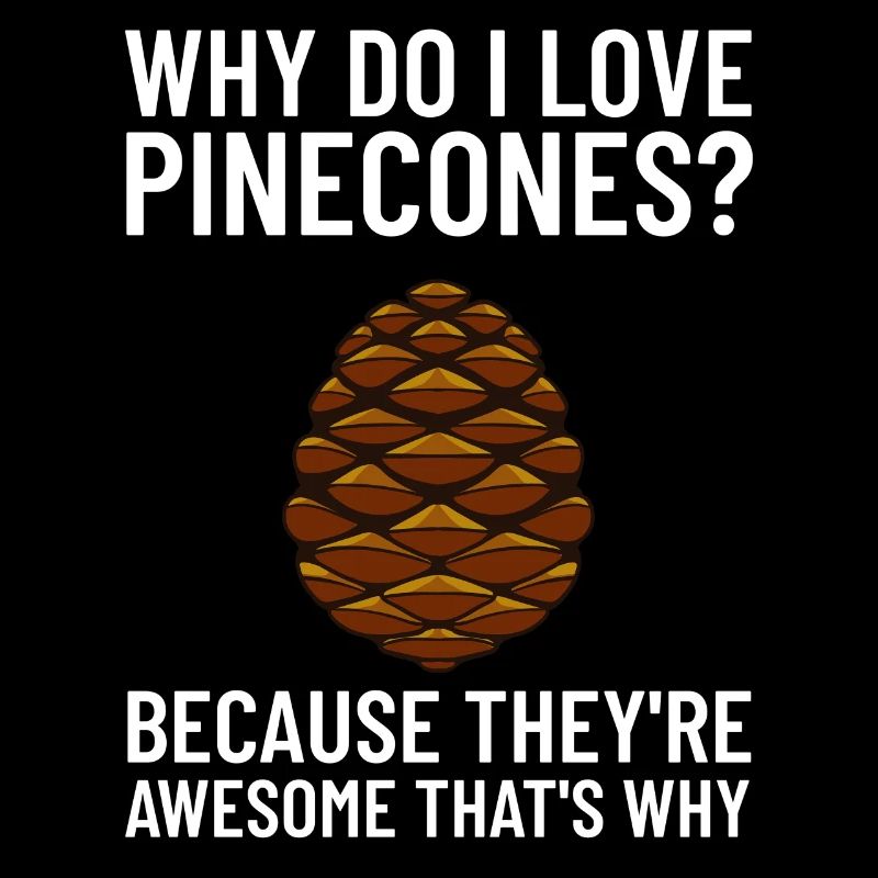 Pine cones Pine cones Pine cones Cones