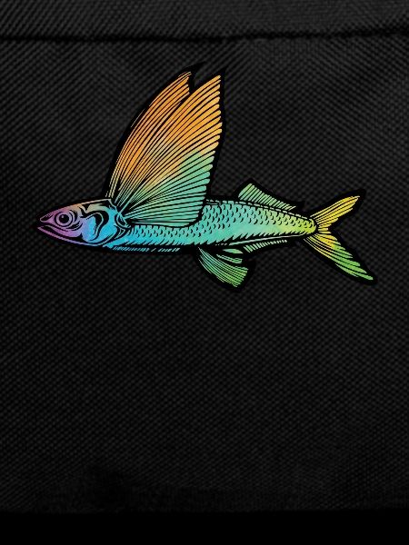 Flying fish