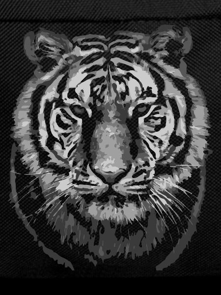Tiger - Tiger head black white