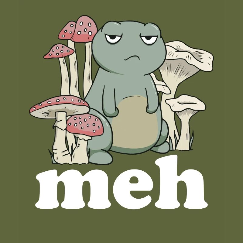 Funny Frog Meh Gift