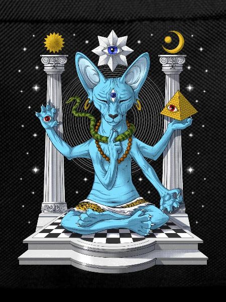 Sphynx Cat Psychedelic Shiva