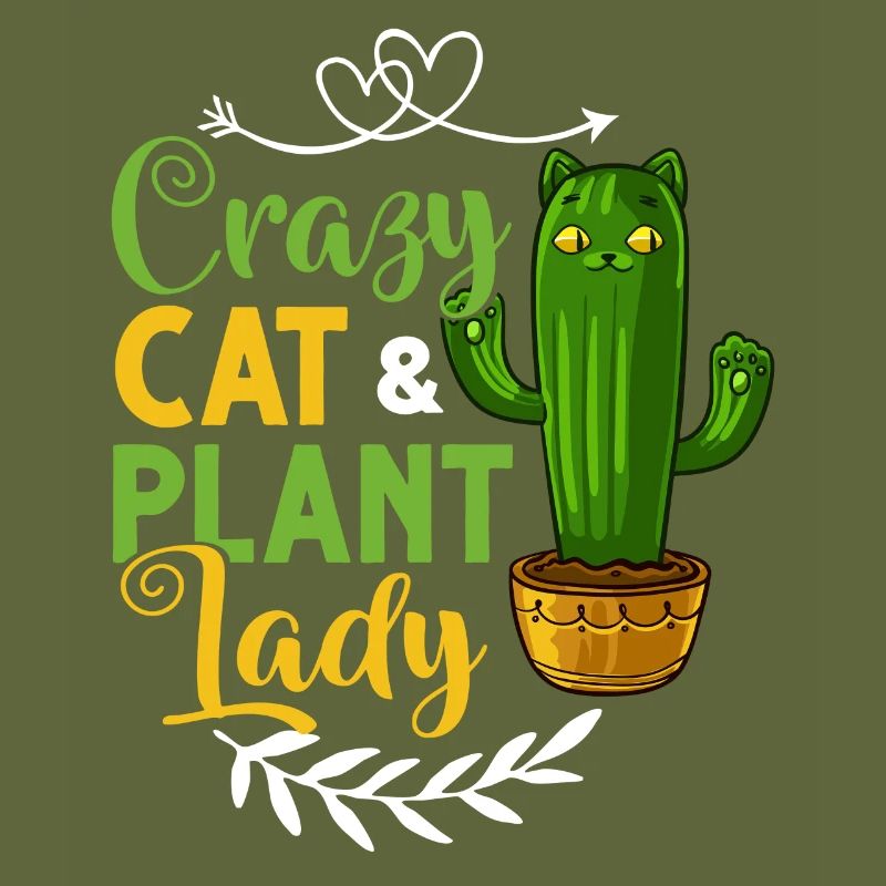 Catcus Cactus Chat Plantes Succulentes Cactus