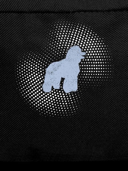 Poodle