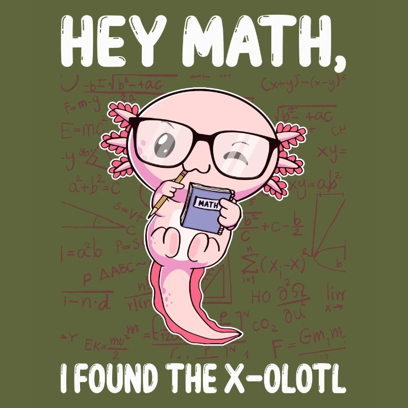 Funny Math Axolotl Math Gift