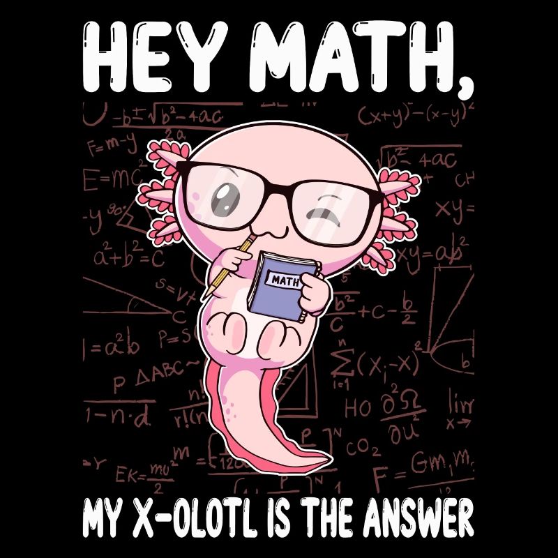 Funny Math Axolotl Math Gift
