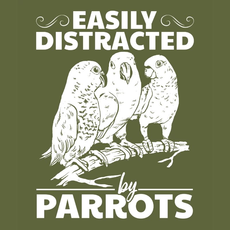 Parrot bird lovers easily from parrots