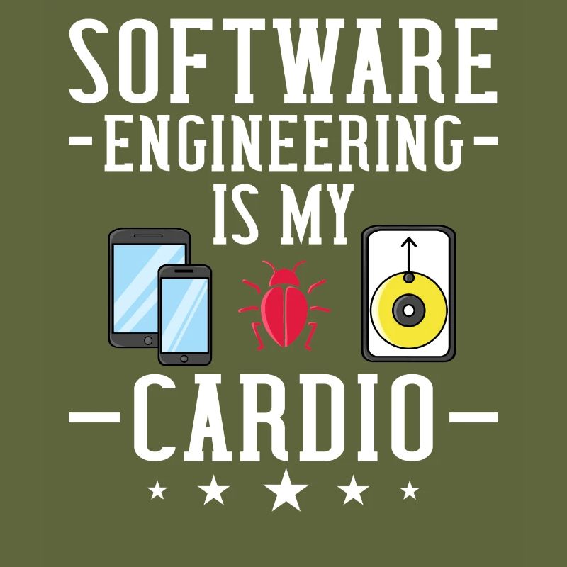 Software Engineering Softwaretechnik Ingenieur