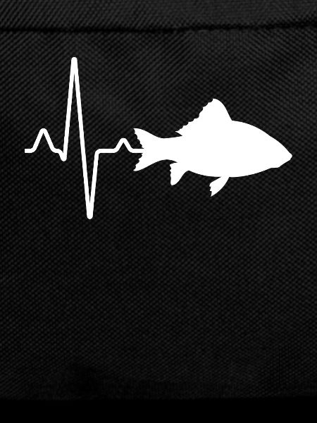 Fisch Herzschlag