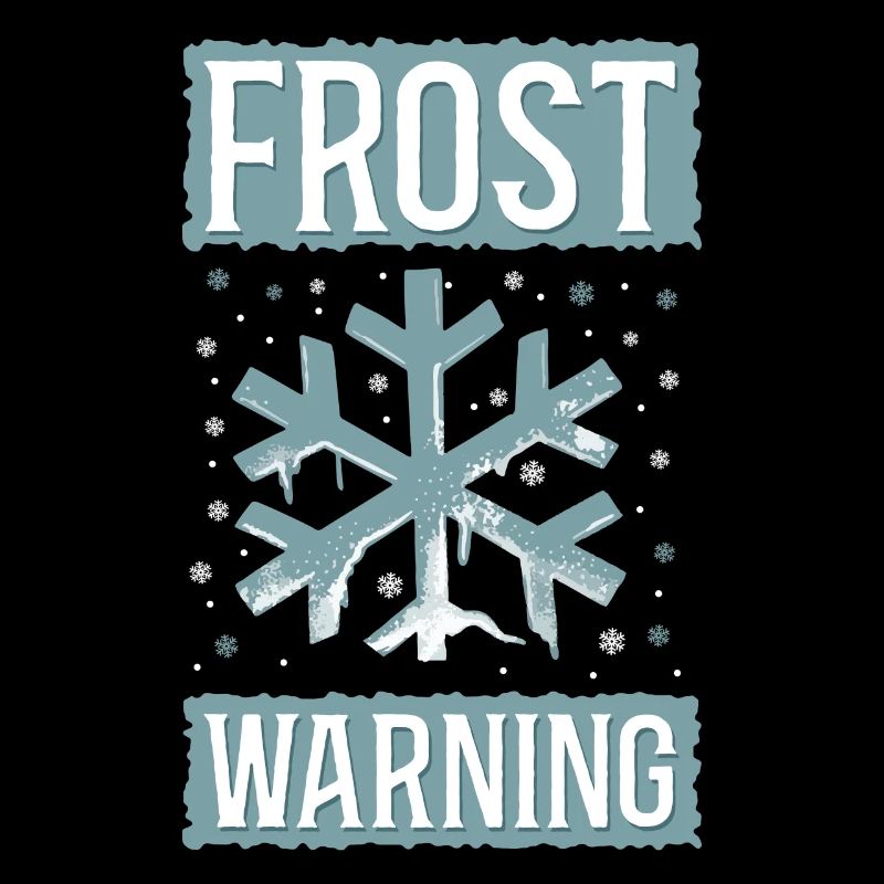 Meteorologist Weather Forecast