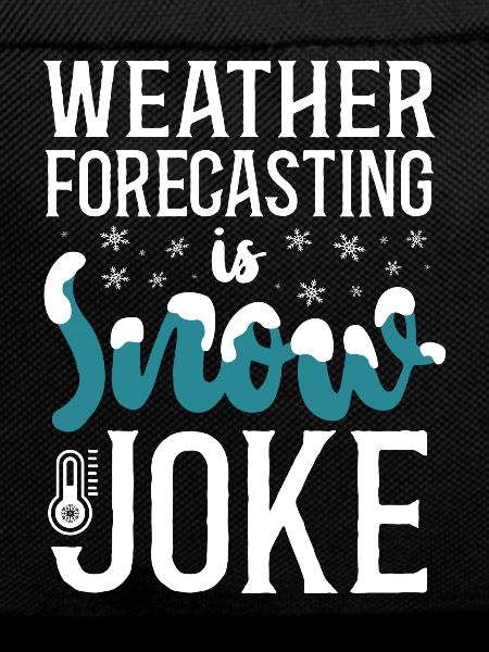 Meteorologist Weather Forecast