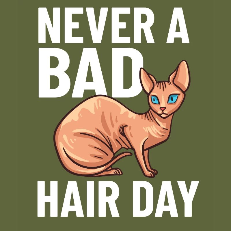 Sphynx Cat Sphinx Hairless Kitten Egypt