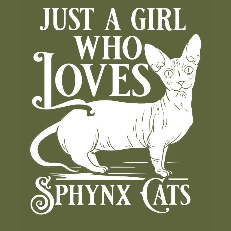 Sphynx Cat Sphinx Hairless Kitten Egypt