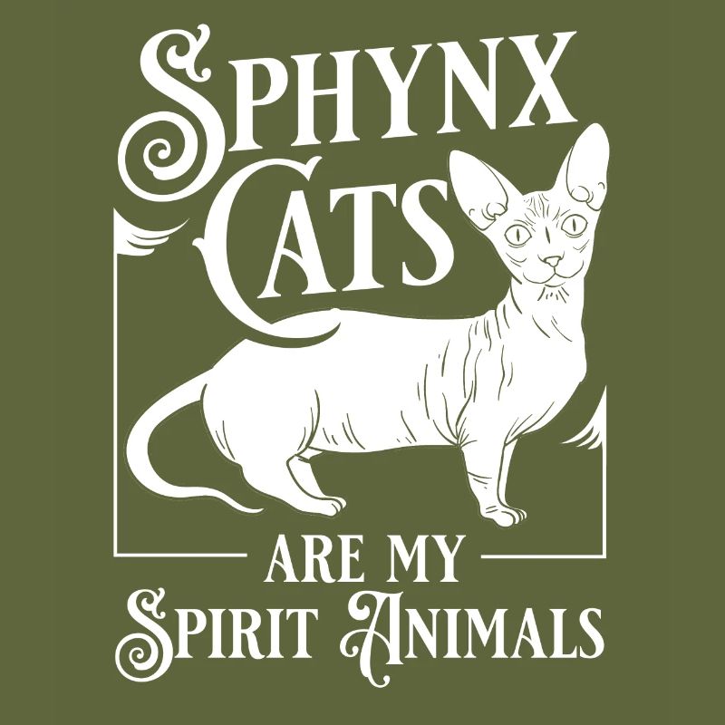 Sphynx Cat Sphinx Hairless Kitten Egypt