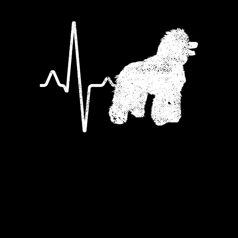 Battement de cœur de caniche