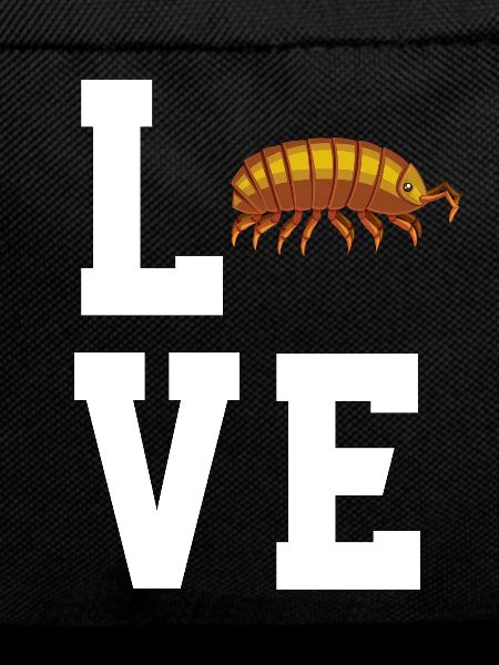 Dear Woodlice