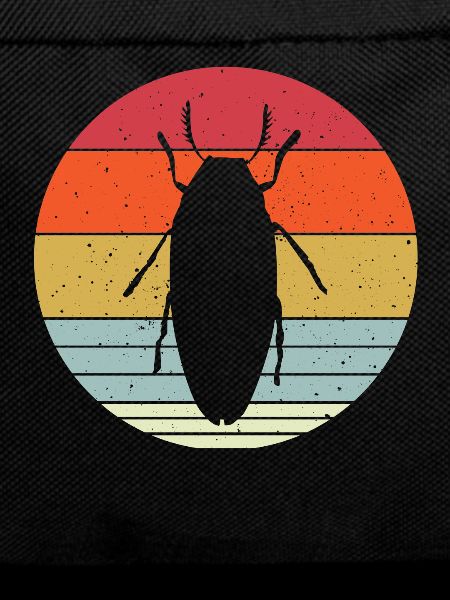 Magnificent beetles