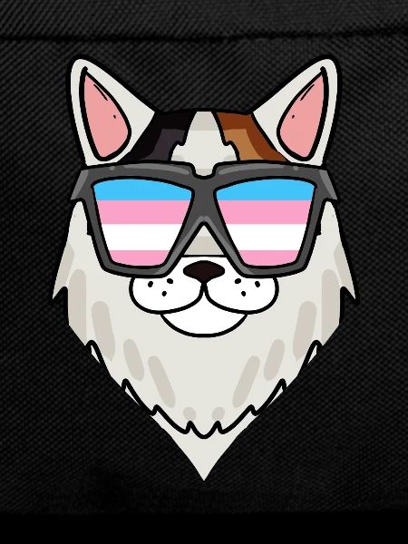 Transgender Transsexual Turkish Van Cat
